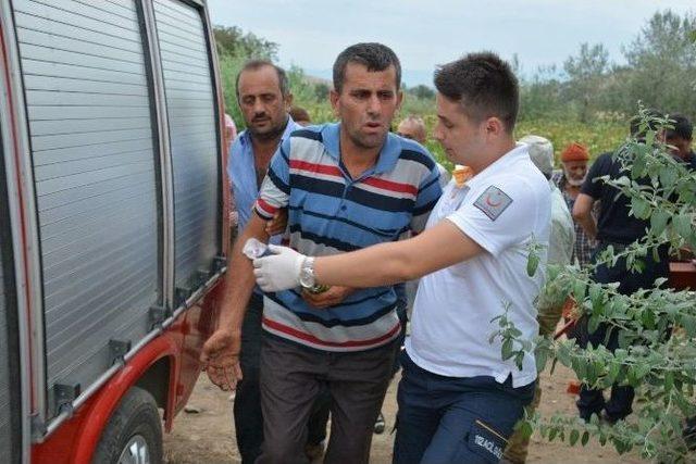 Tütün Dizme Makinesi İğneleri Eline Saplandı