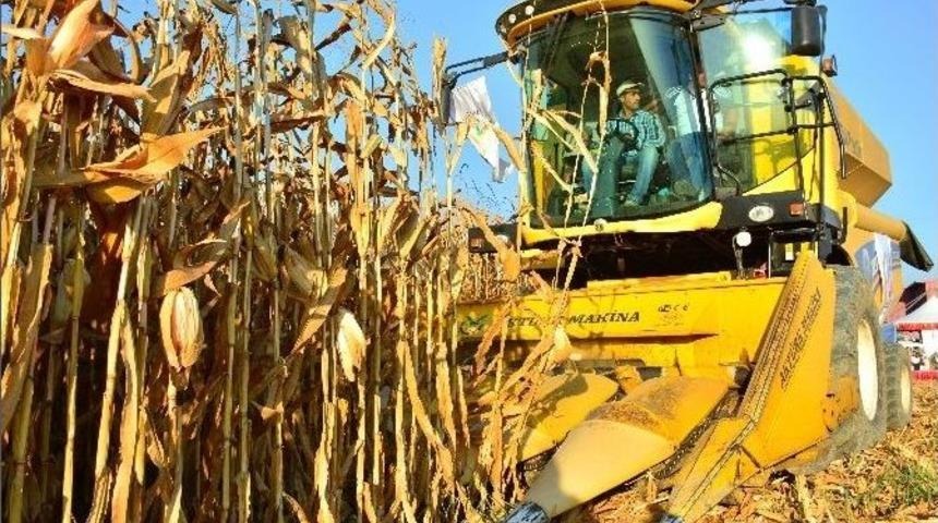 Mısır &Uuml;reticisi &ldquo;acil&rdquo; Fiyat Bekliyor