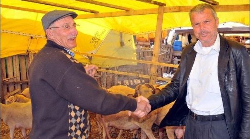 Kurbanlıklar Geldi, Pazarlıklar Başladı