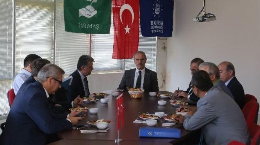 Bursa Sağlıklı Gıdada Marka Oluyor