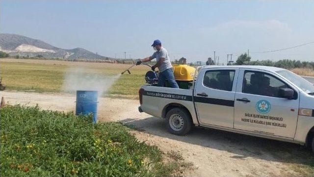 Akhisar’da Çöp Konteynırlarına İlaçlama