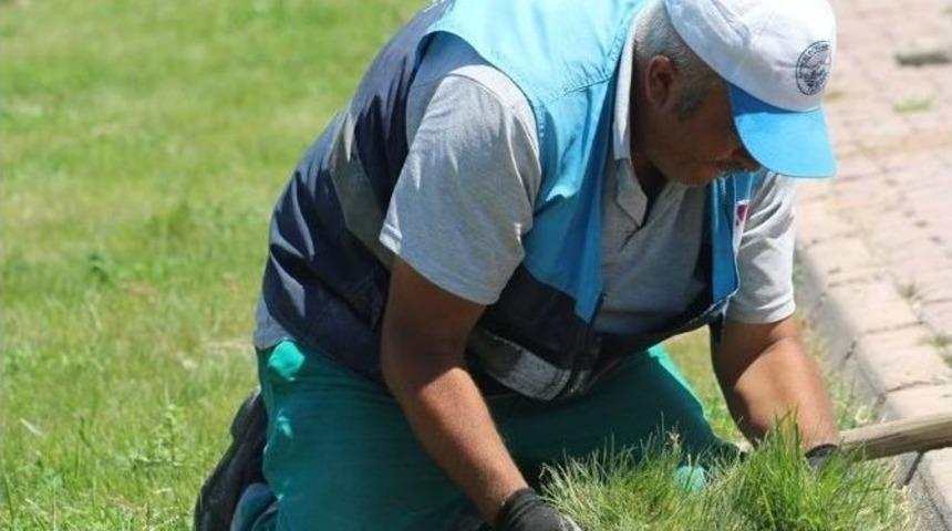 Daha Modern Parklar, Daha Yeşil Kocasinan