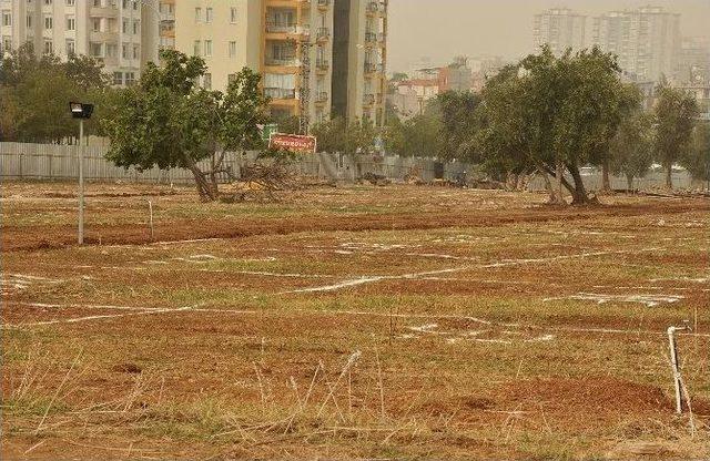 Çukurova’da Kurban Satış Ve Kesim Yerleri Belirlendi