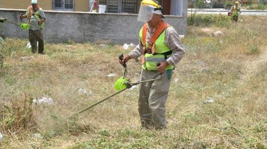 Boş Arazilerdeki Otlar G&uuml;venlik İ&ccedil;in Bi&ccedil;iliyor