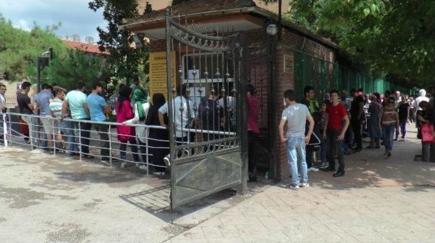 İzmit&rsquo;te Metrelerce Kpss Kuyruğu Oluştu