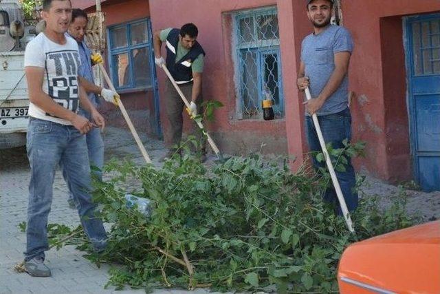 Çekerek Belediyesinden Çevre Temizliği