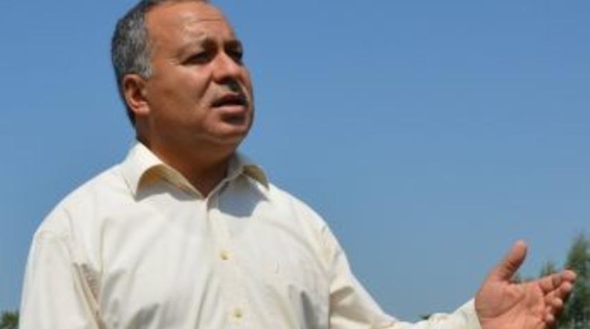 Organik Zeytin Desteklerinde S&uuml;re Değişimi S&ouml;keli &Uuml;reticiyi Sevindirdi