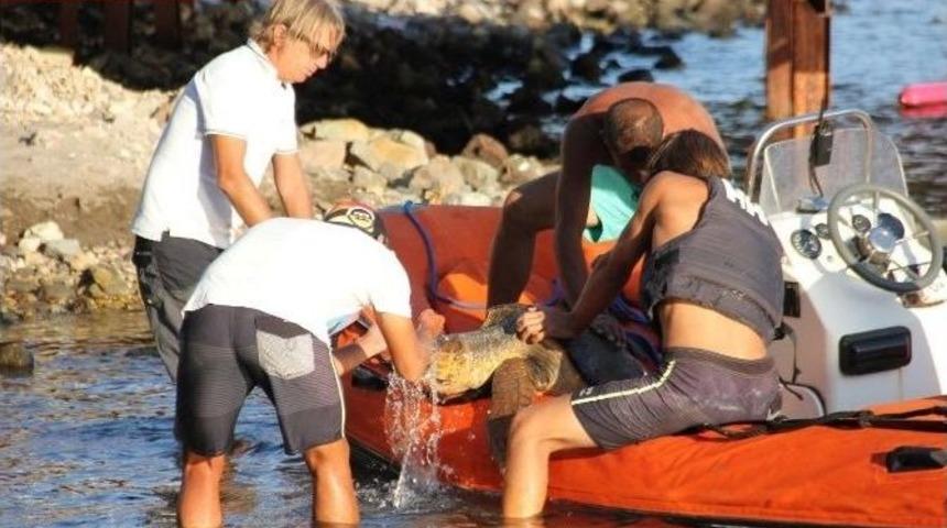 Caretta Carettayı Kurtarmak İ&ccedil;in Seferber Oldular