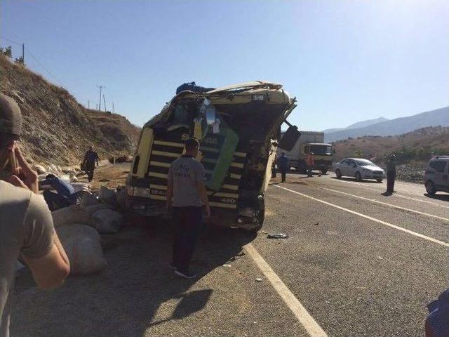 Elazığ’da Tır Devrildi: 3 Büyükbaş Havan Telef Oldu