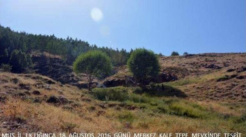 Muş&rsquo;ta Ter&ouml;r &Ouml;rg&uuml;t&uuml;ne Ait Sığınak Tespit Edildi