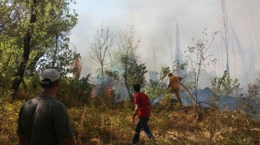 Siirt&rsquo;te 300 D&ouml;n&uuml;m Fidanlık Yandı