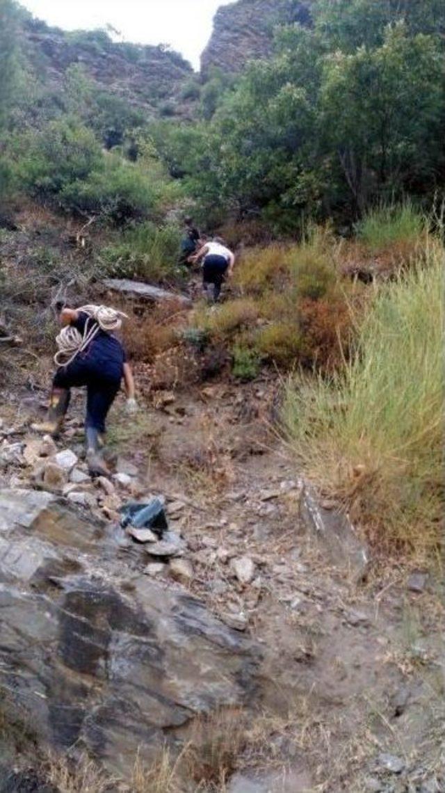 Otomobil 150 Metreden Uçuruma Yuvarlandı, Sürücü Ölümden Döndü