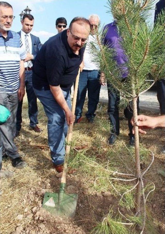 Müsiad Konya Şubesi, Milli İrade Şehitlerinin Adını Yaşatıyor