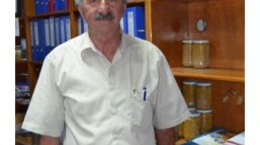 Arıcılar Sıkıntılı