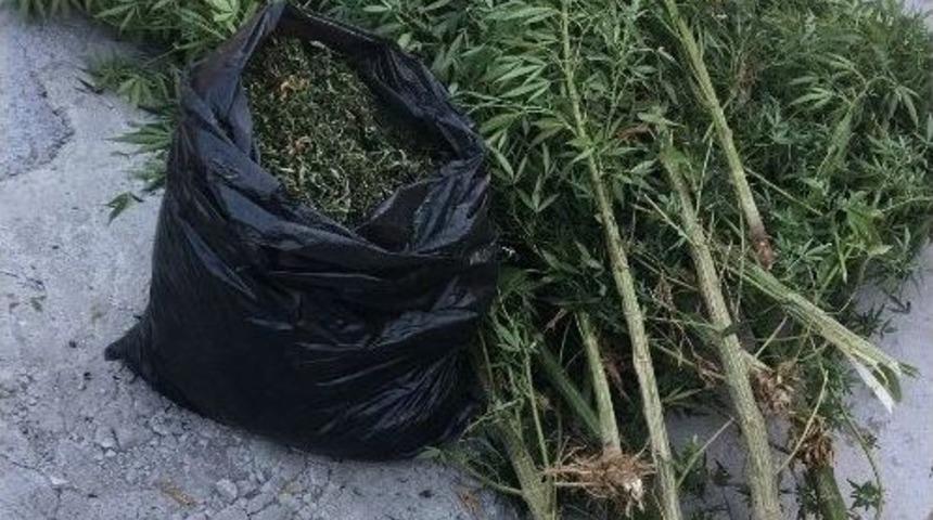 Adana&rsquo;da Uyuşturucu Operasyonu