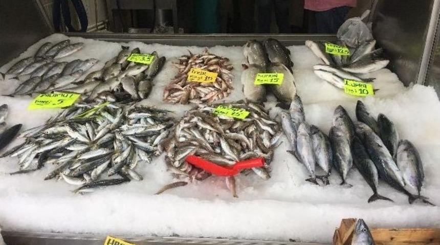 &Ccedil;ingene Palamudu Sofraları S&uuml;sl&uuml;yor