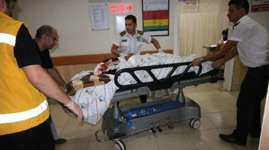 Hafif Ticari Araç Domuz Sürüsüne Çarptı: 4 Yaralı