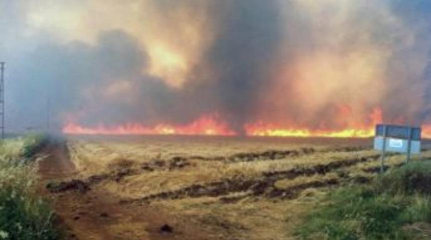 Anız Yangınlarına Kalıcı Çözüm Önerisi