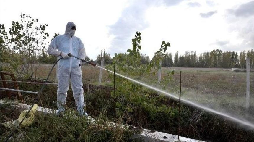 Tepebaşı Haşarate Karşı Sürekli İlaçlanıyor