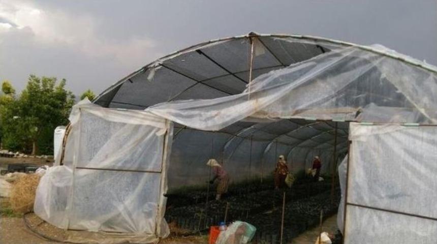 Aydın&rsquo;da Dolunun Verdiği Zararı Tespit &Ccedil;alışmaları S&uuml;r&uuml;yor