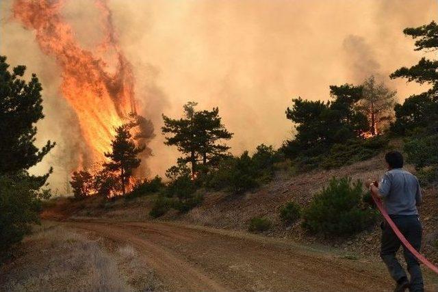 Başören Yangınının Yaraları Sarılıyor