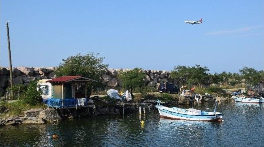 Av Sezonu &Ouml;ncesi &lsquo;palamut&rsquo;tan Haber Var