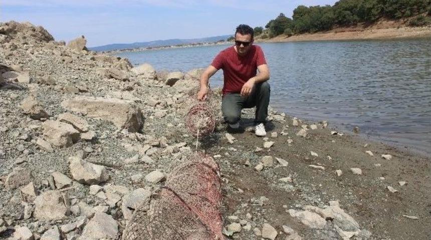 G&ouml;letteki Ağ Can Alıyor