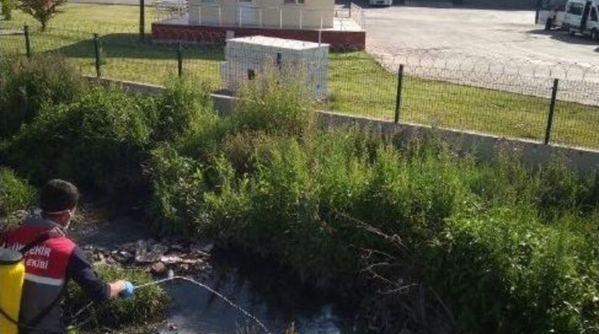 B&uuml;y&uuml;kşehir 2.5 Milyon Metrekarelik Alanı İla&ccedil;layacak