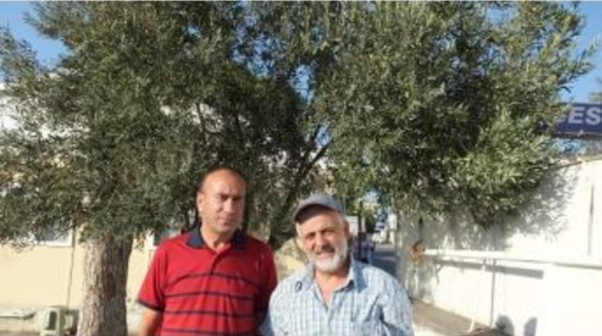 Edremit Körfezinde Zeytin İlaçlaması Başlıyor