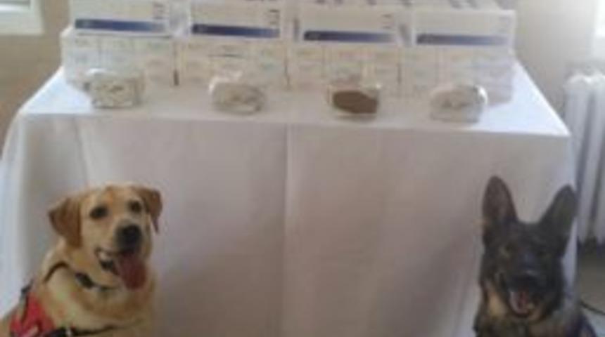 Afyonkarahisar&rsquo;da Yolcu Otob&uuml;s&uuml;n&uuml;n Bagajında Esrar Maddesi Ve Bandrols&uuml;z Sigara Ele Ge&ccedil;irildi