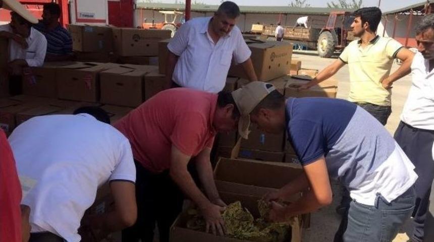 T&uuml;t&uuml;n &Uuml;reticileri Fiyata Tepkili