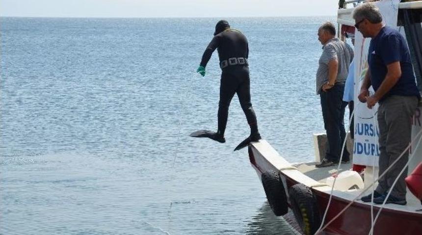 Gemlik K&ouml;rfezi Terk Edilmiş Av Ara&ccedil;larından Temizlendi
