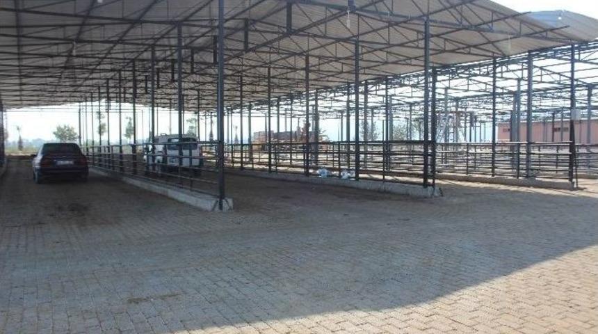 Aydın&rsquo;da Kurban Sessizliği