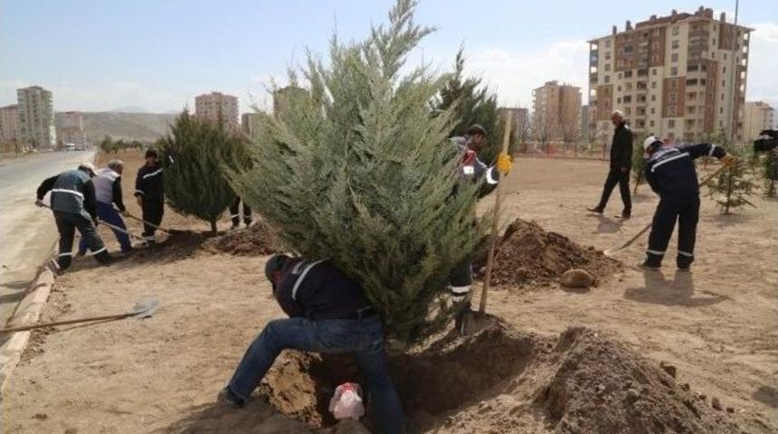 Melikgazi Belediyesi İklime Uygun Ağa&ccedil;landırma Yapıyor