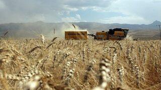 Milli Tarım Projesi Kapsamında Çorum’da Desteklenecek Ürünler Belirlendi