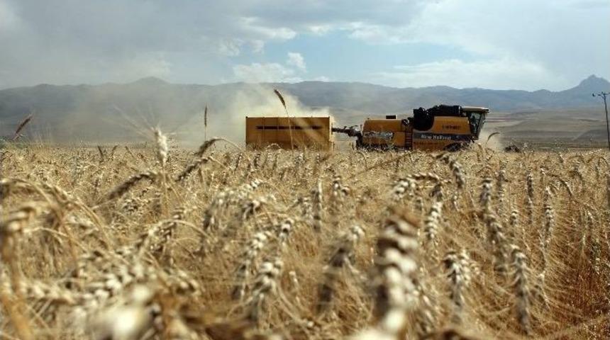 Milli Tarım Projesi Kapsamında Çorum’da Desteklenecek Ürünler Belirlendi