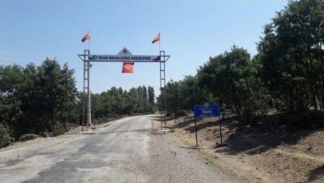 Selendi Tarımı Büyükşehir’le Canlanıyor