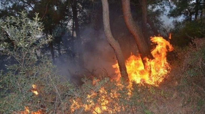 Bursa&rsquo;da Orman Yangını