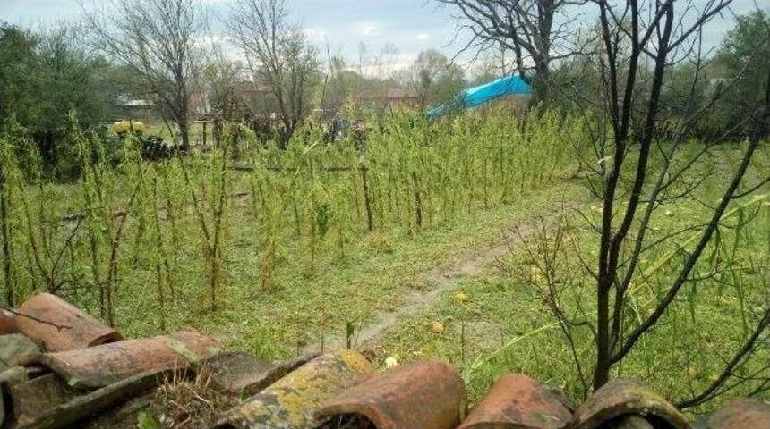 Sağanak Yağış Ve Fırtına, Kastamonu&rsquo;da Etkili Oldu