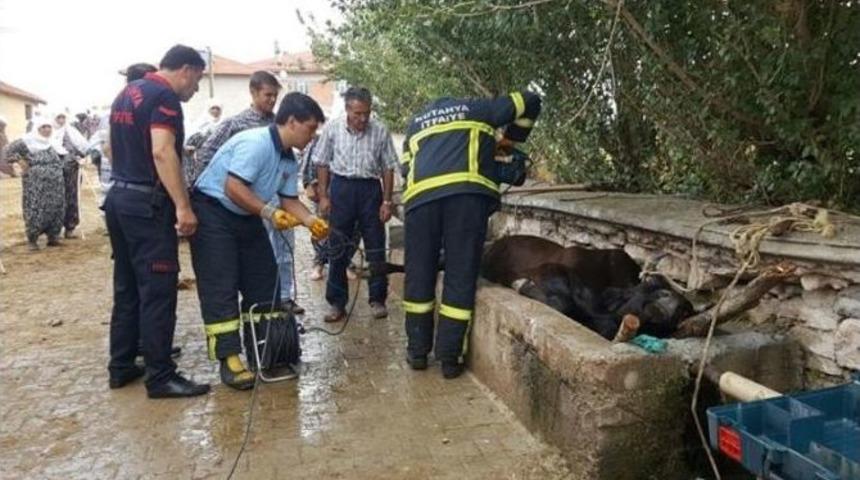Su Yalağına Sıkışan İneği İtfaiye Ekipleri Kurtardı