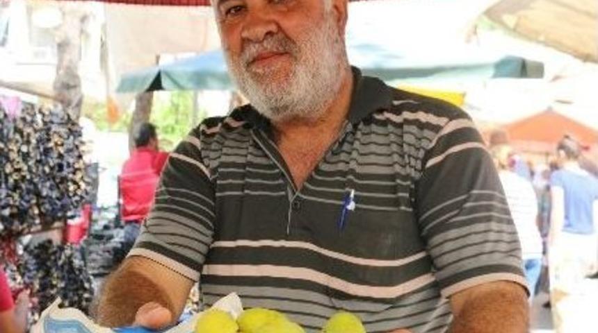 İncir &Uuml;reticisini Yağmur Vurdu