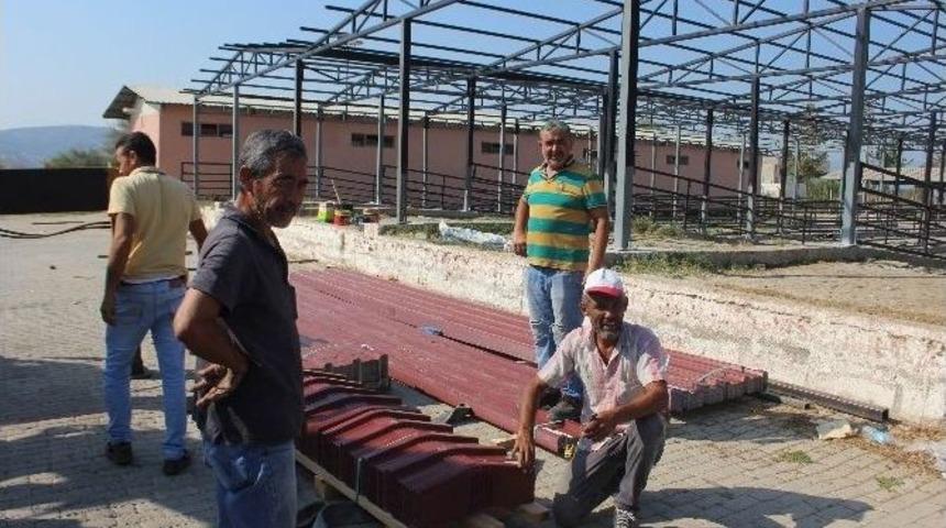 Aydın&rsquo;da B&uuml;y&uuml;kbaş Kurbanlıklar Son G&uuml;nlerini Rahat Yaşayacak