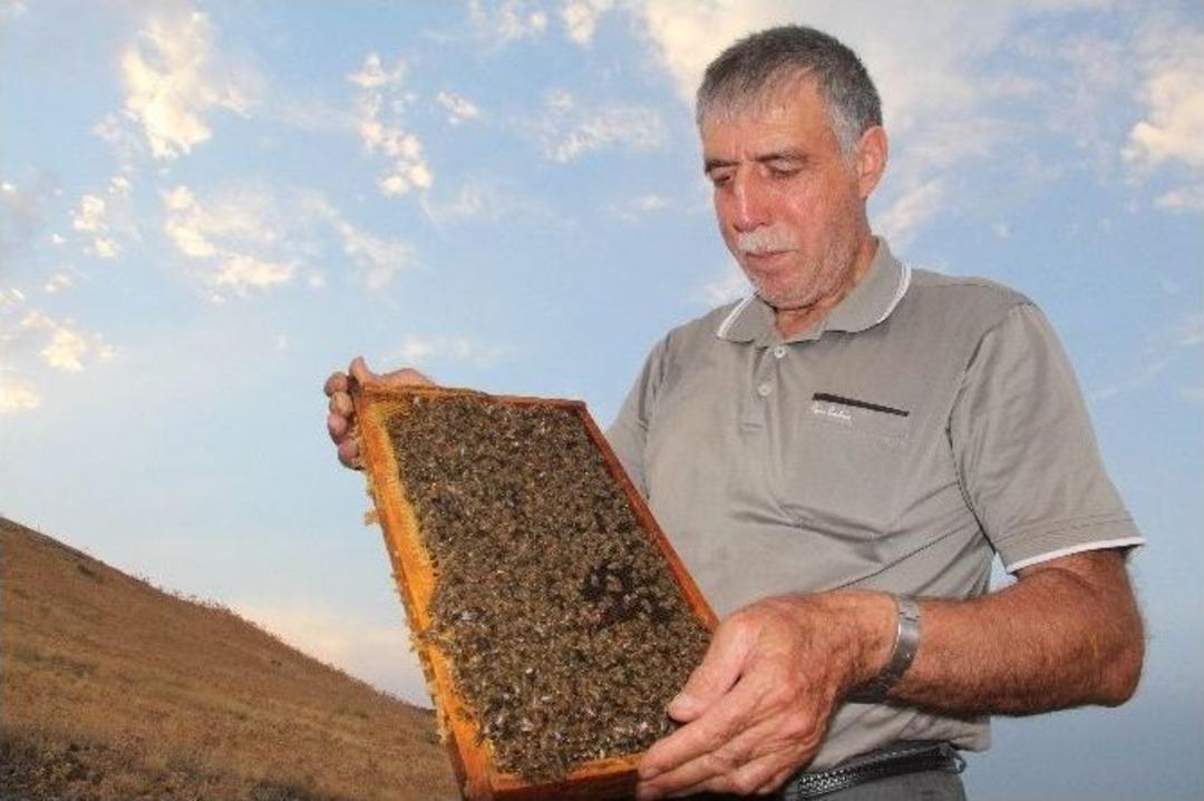 Keven Balında &Uuml;retim Y&uuml;zde 70 D&uuml;şt&uuml;