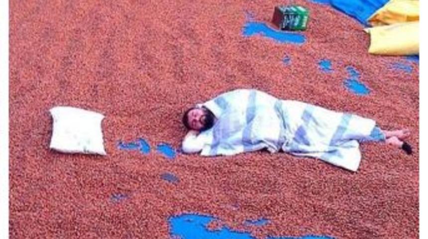 &Uuml;retici Fındıkla Yatıyor Fındıkla Kalkıyor