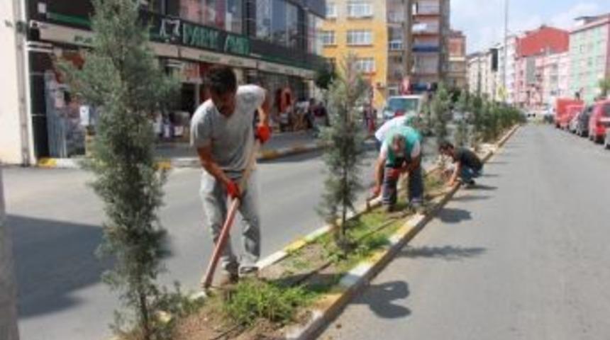 Giresun&rsquo;da Yeşil Alanların Temizliği Yapılıyor