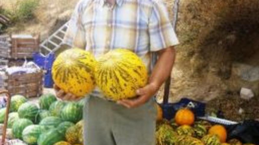 Deresakarı Kavunu Bu Yıl Da &Uuml;reticisini Sevindirdi