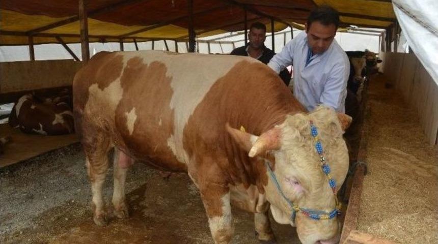 Başkan Toltar, Bayram &Ccedil;alışmaları Hakkında Bilgi Verdi