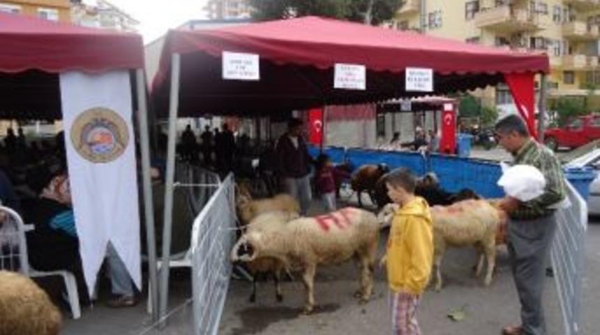 Alanya&rsquo;da Kurban Satış Yerleri Belirlendi
