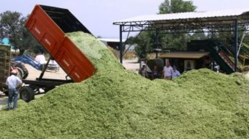 Paketlenmiş Silajlık Mısıra &Ccedil;ift&ccedil;iden B&uuml;y&uuml;k İlgi