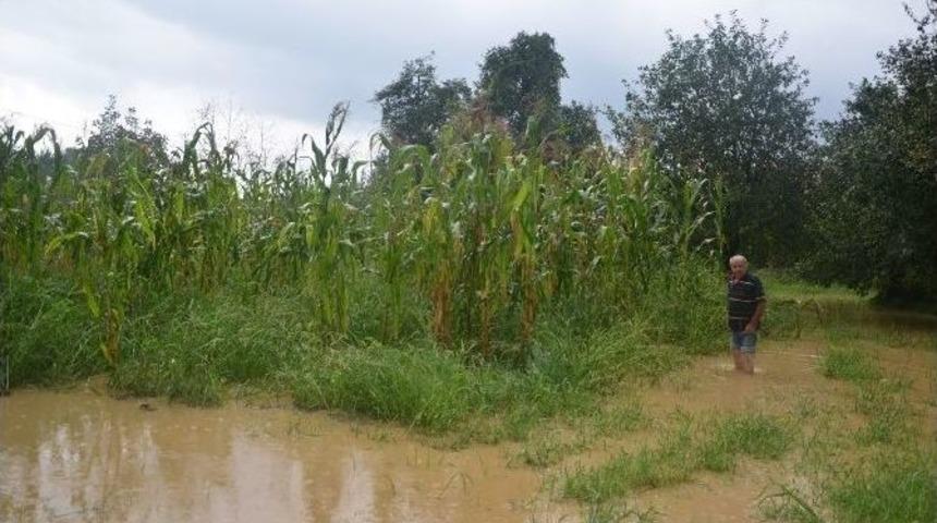 Sapanca&rsquo;da Yağan Yağmur Taşkınlara Sebep Oldu
